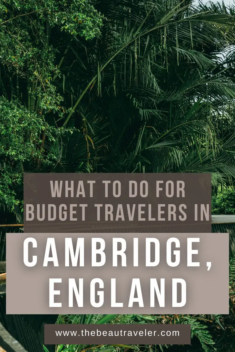 Cambridge Botanic Gardens: A Budget-Friendly Thing to Do in Cambridge - The BeauTraveler