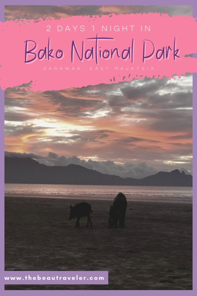 2 Days 1 Night in Bako National Park, Sarawak - The BeauTraveler