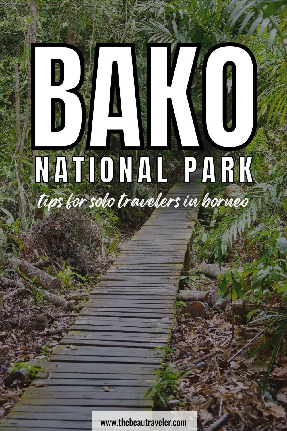 Bako National Park Tips for Solo Traveler