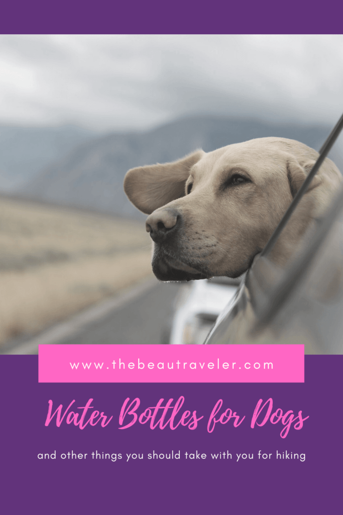 Water Bottles for Dogs When Hiking and Other Things to Take With You - The BeauTraveler