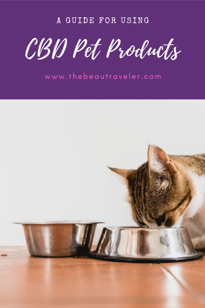 A Guide for Using CBD Pet Products - The BeauTraveler