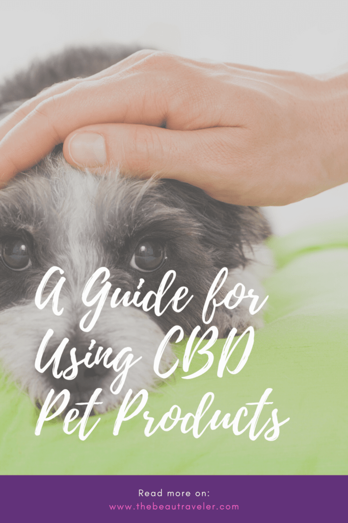 A Guide for Using CBD Pet Products - The BeauTraveler