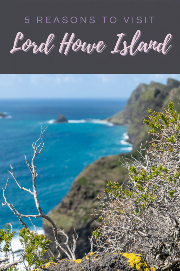 5 Reasons to Visit Lord Howe Island Holidays - The BeauTraveler