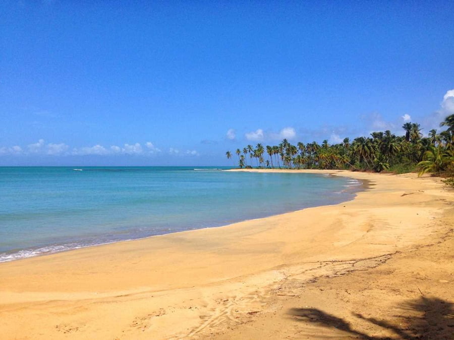 Playa Esmeralda, Punta Cana in Dominican Republic. 