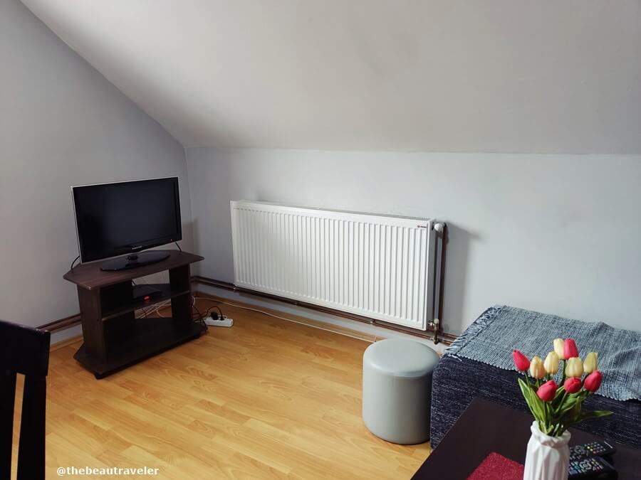 The living room in my room at Apartmani Vasic, Banja Koviljaca.