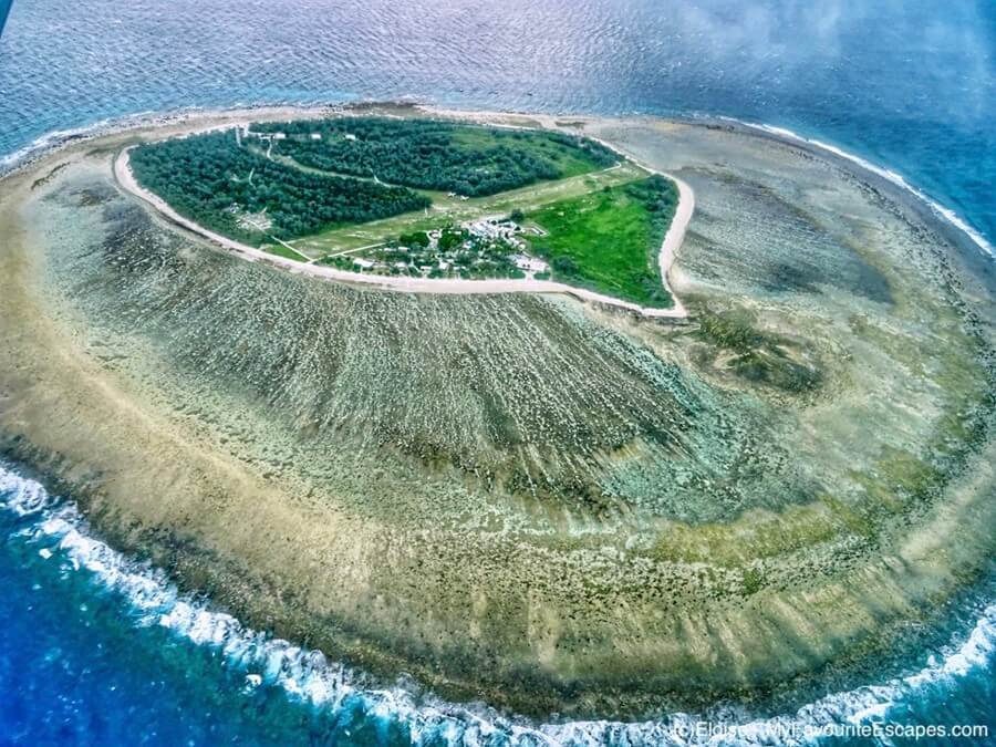 Lady Elliot Island, Australia. 