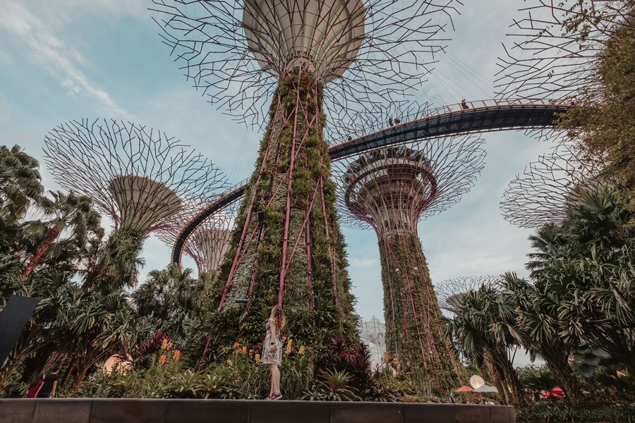 New Year's Eve in Singapore. 