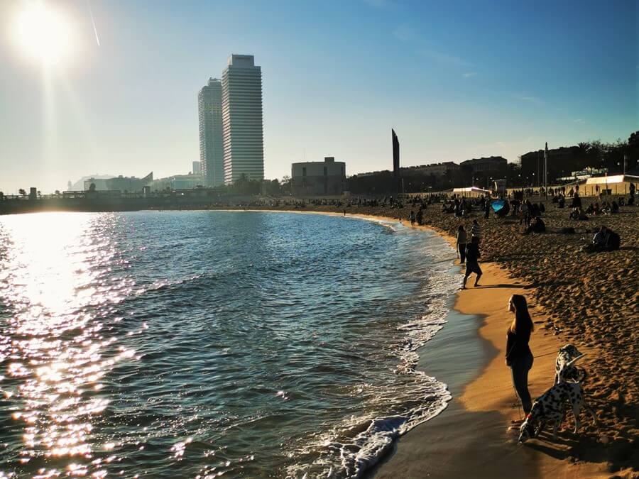 New Year's Eve in Barcelona, Spain. 