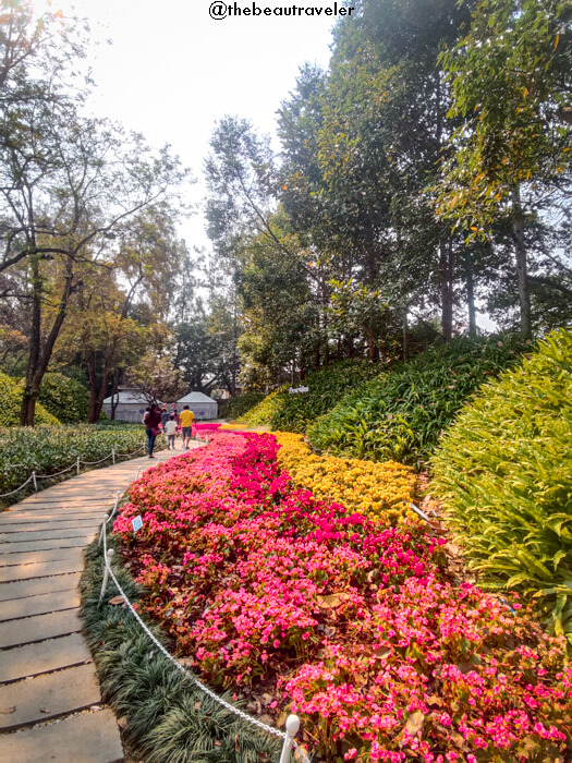 Chiang Rai Flower Festival in Thailand.