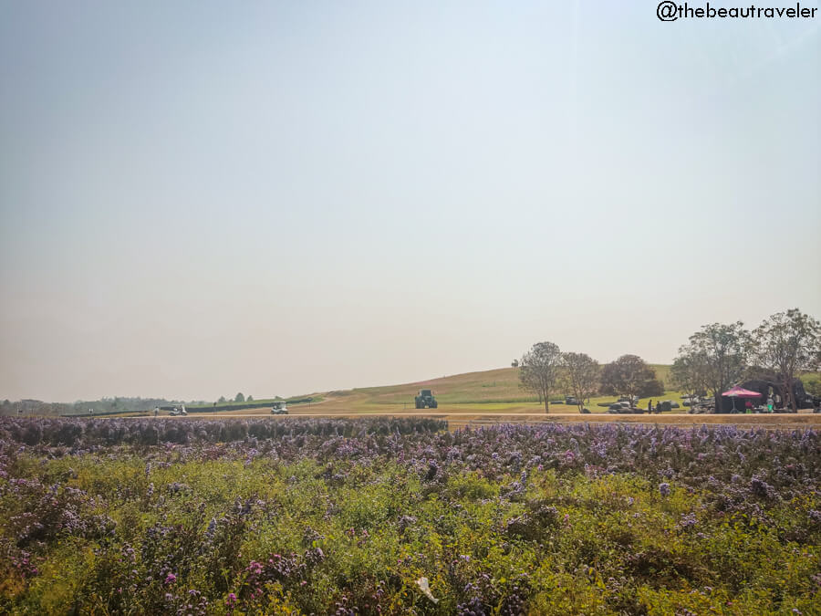 Singha Park farm tour in Mae Kon, Chiang Rai.