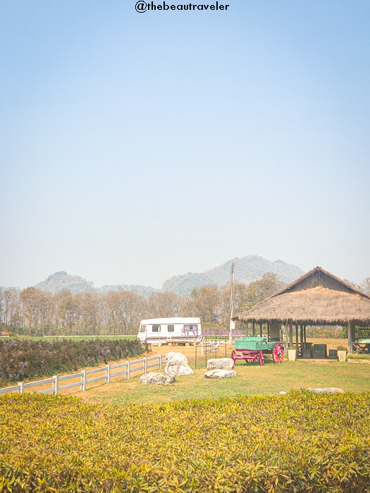 Singha Park farm tour in Mae Kon, Chiang Rai.