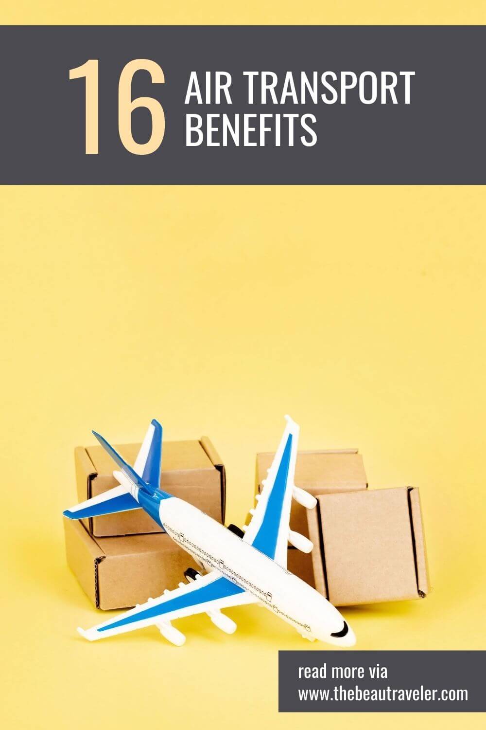 16 Benefits of Hiring Air Transport International Services - The BeauTraveler