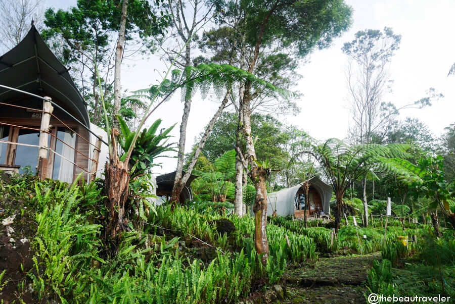 Keong Tent in Glamping Lakeside Rancabali in Ciwidey, Bandung.