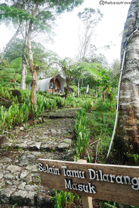 Tanjung Pakis tent at Glamping Lakeside Rancabali in Ciwidey, Bandung.