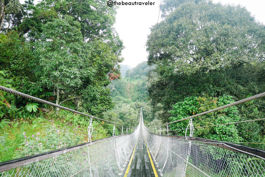 Suspension bridge in Rengganis Crater, Ciwidey. 