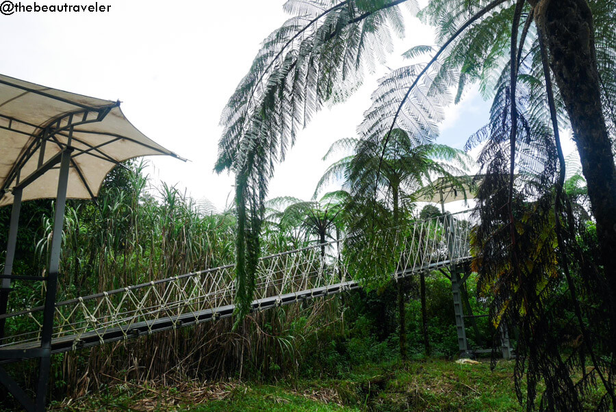 Suspension bridge to Rengganis Crater in Ciwidey, Bandung.