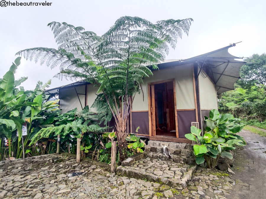 New Lakeside Tent at Glamping Lakeside Rancabali in Ciwidey, Bandung. 