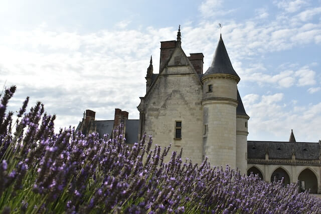 a castle in loire valley