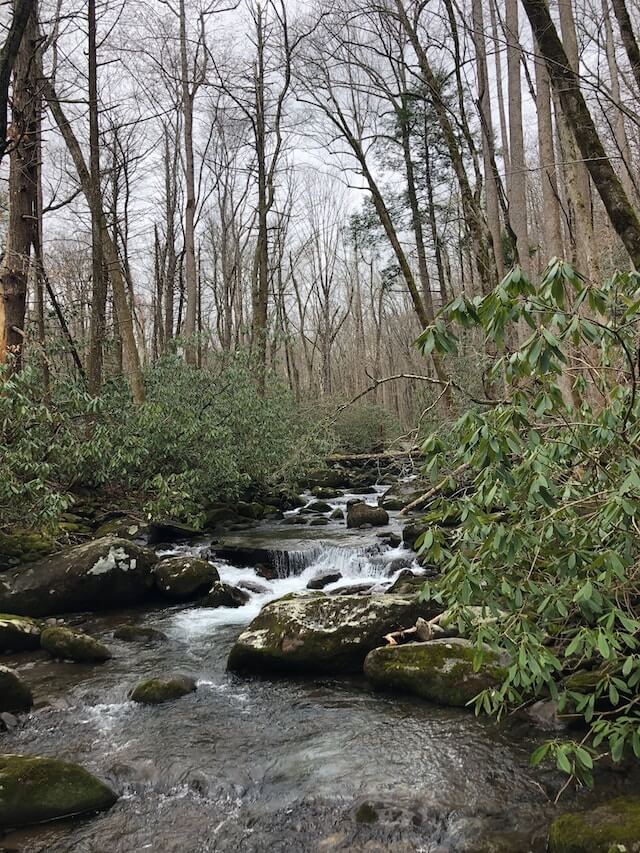 Pigeon River that streams along Pigeon Forge, TN. 