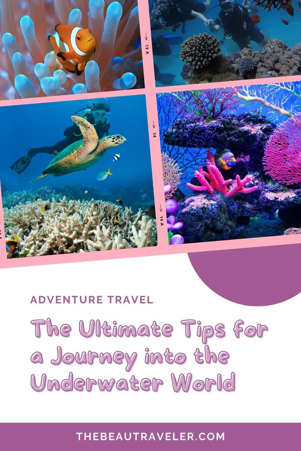 The Ultimate Tips for a Journey into the Underwater World - The BeauTraveler