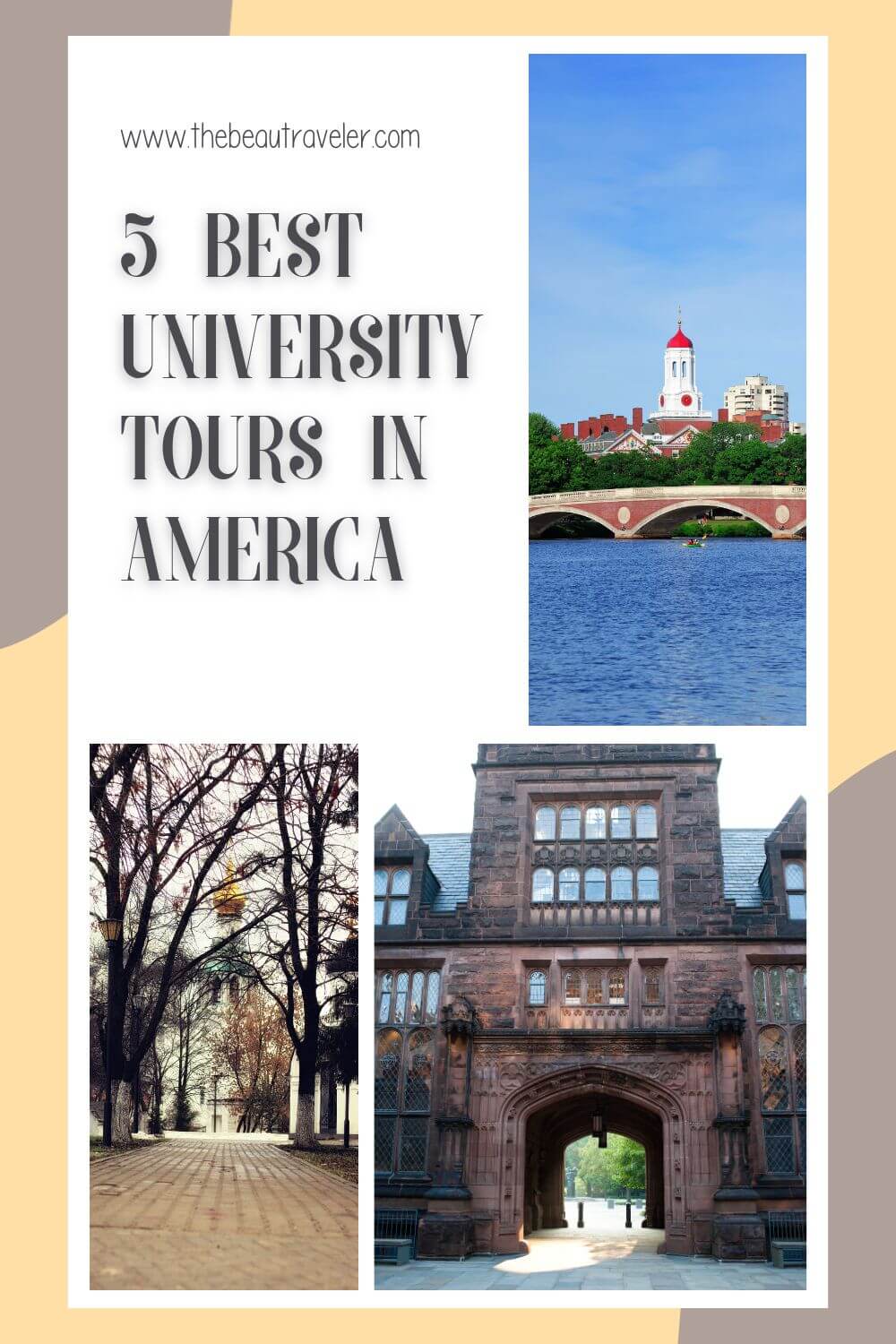 Academic Mravels: Top 5 Universities in America Open for Tourists to Explore - The BeauTraveler