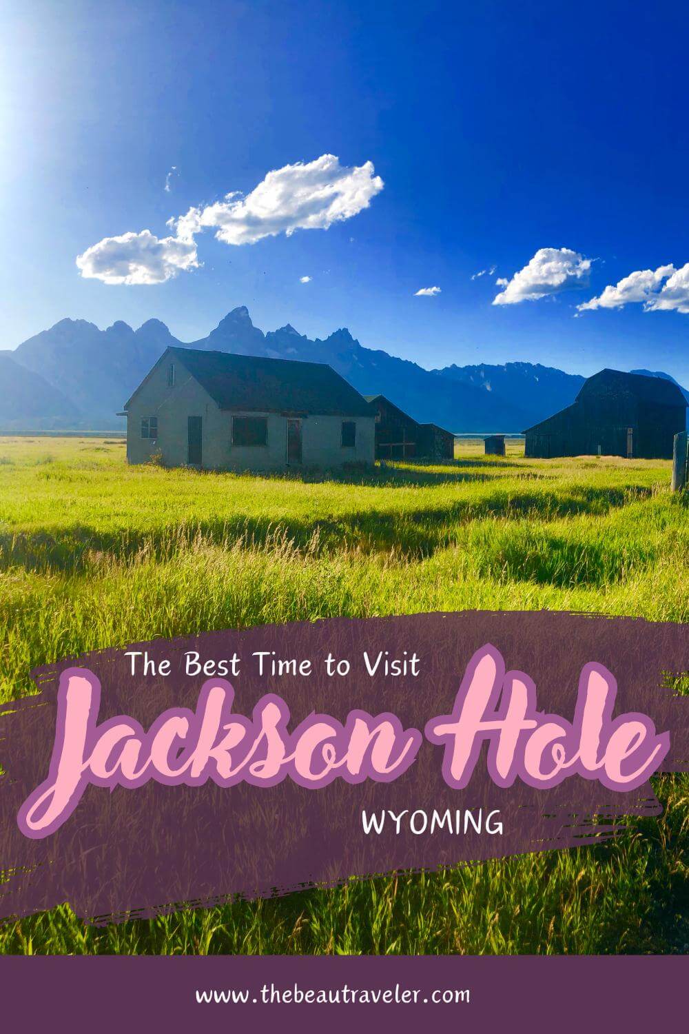 The Best Time of Year for Wildlife Tours in Jackson Hole, WY - The BeauTraveler