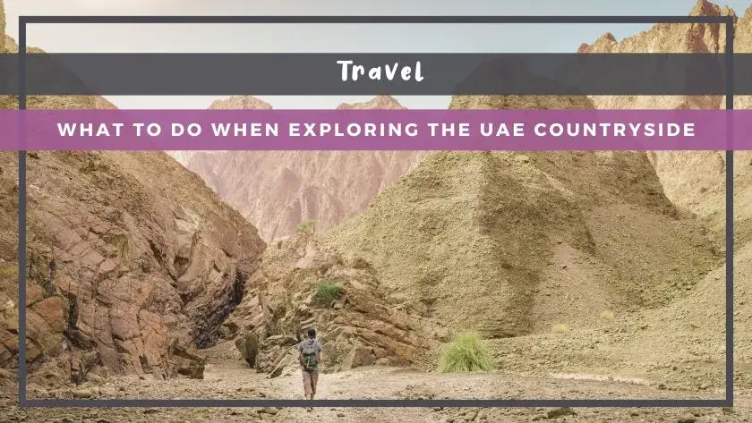 What to Do When Exploring the UAE Countryside