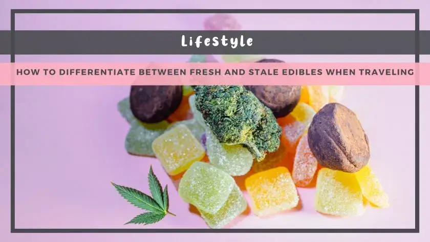 How To Differentiate Between Fresh And Stale Edibles When Traveling