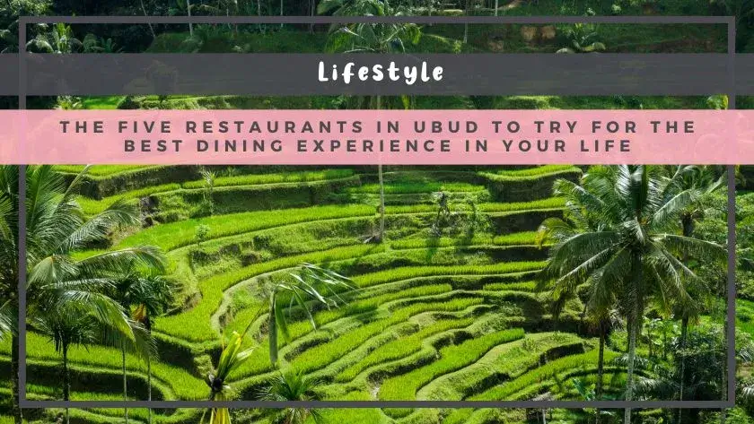 The Five Restaurants in Ubud to Try For the Best Dining Experience in Your Life