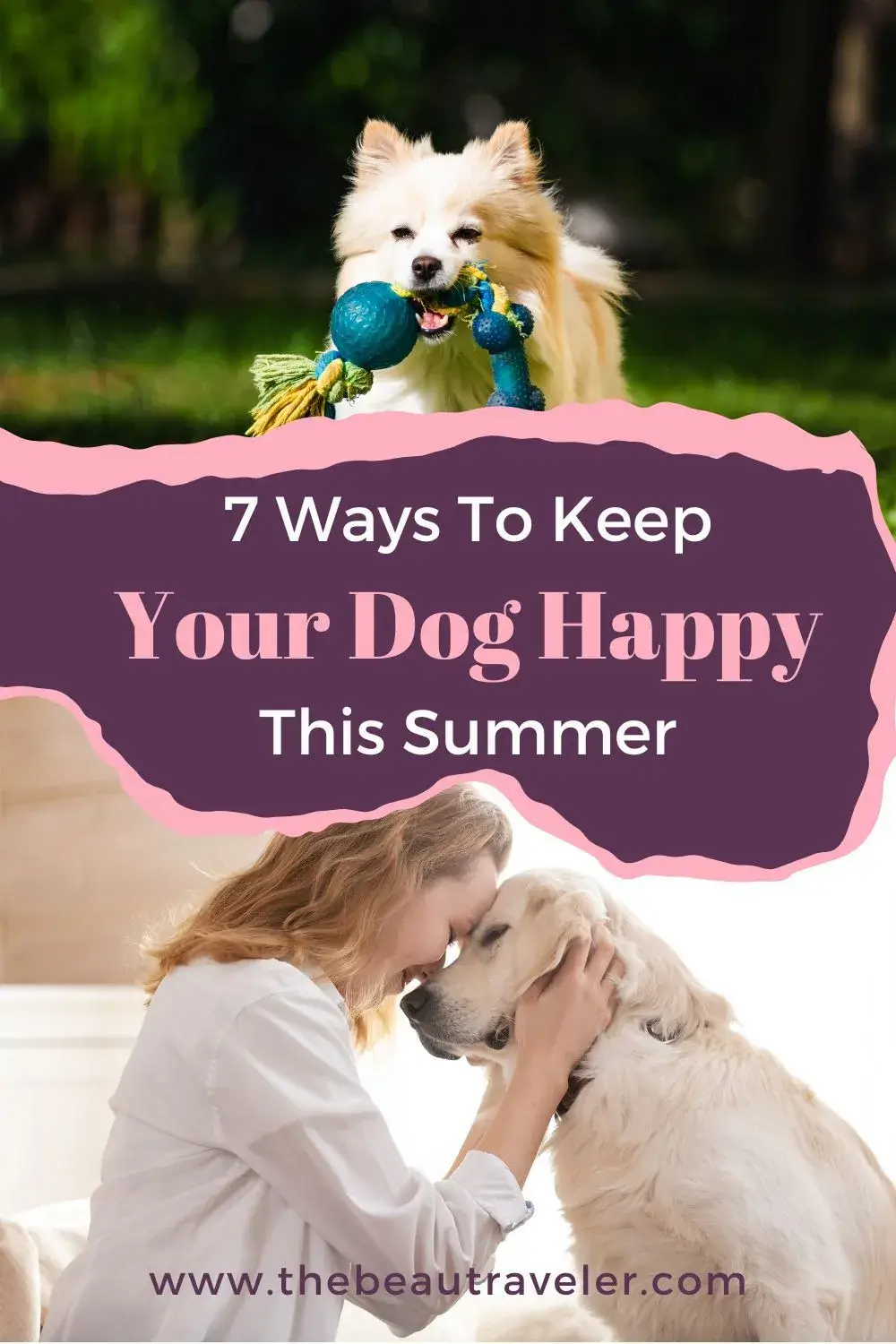 How To Keep Your Dog Calm And Happy This Summer. - The BeauTraveler