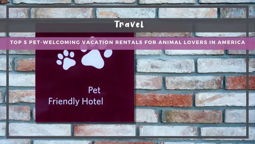 Top 5 Pet-Welcoming Vacation Rentals for Animal Lovers in America