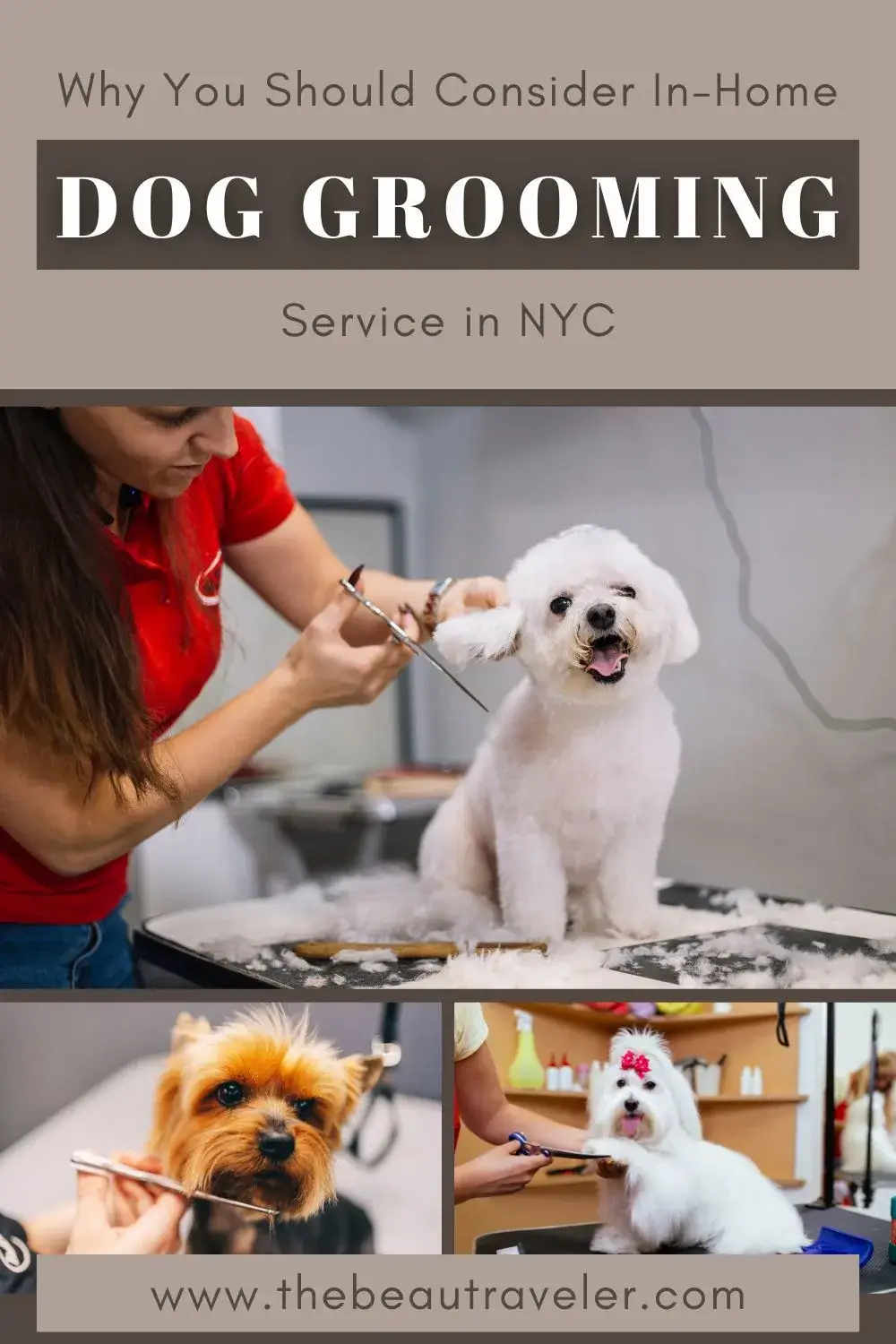 Why You Should Consider In-Home Dog Grooming Service in NYC - The BeauTraveler