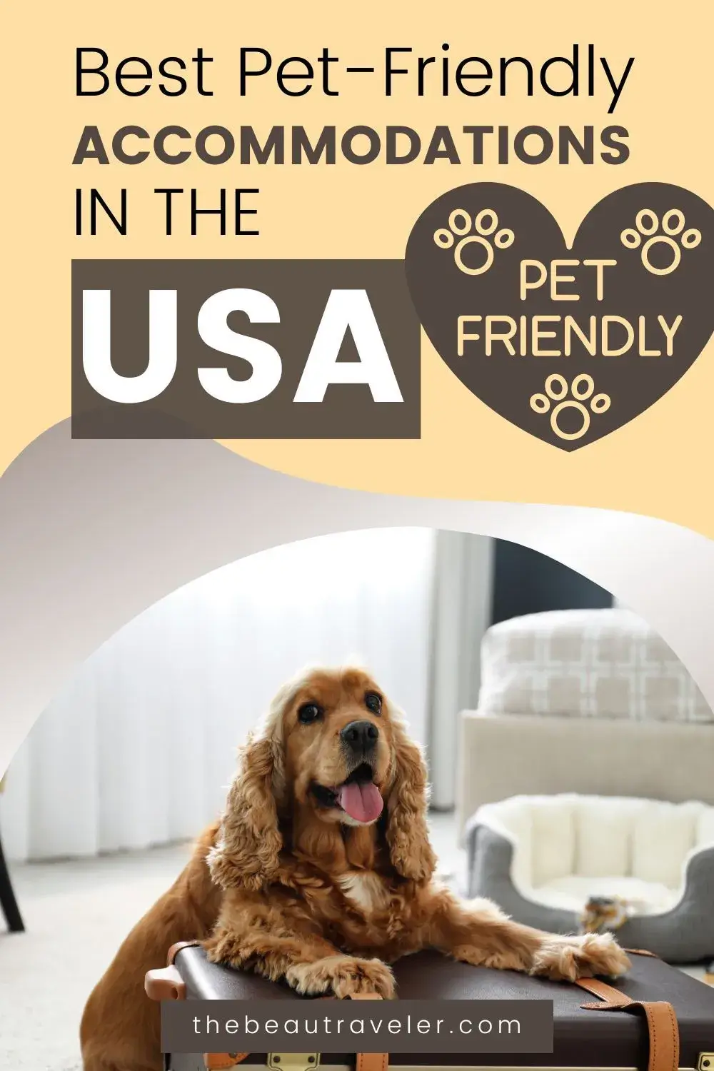 Top 5 Pet-Welcoming Vacation Rentals for Animal Lovers in America - The BeauTraveler