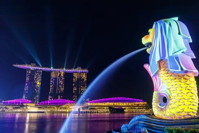 the view of marina bay sands from merlion park in singapore