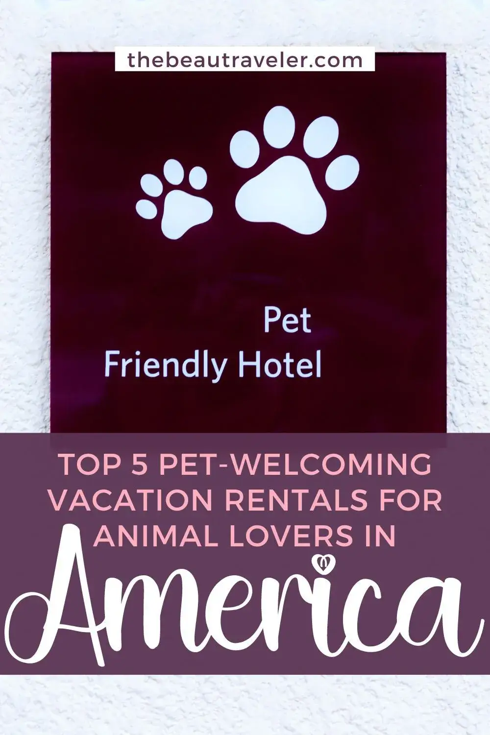 Top 5 Pet-Welcoming Vacation Rentals for Animal Lovers in America - The BeauTraveler