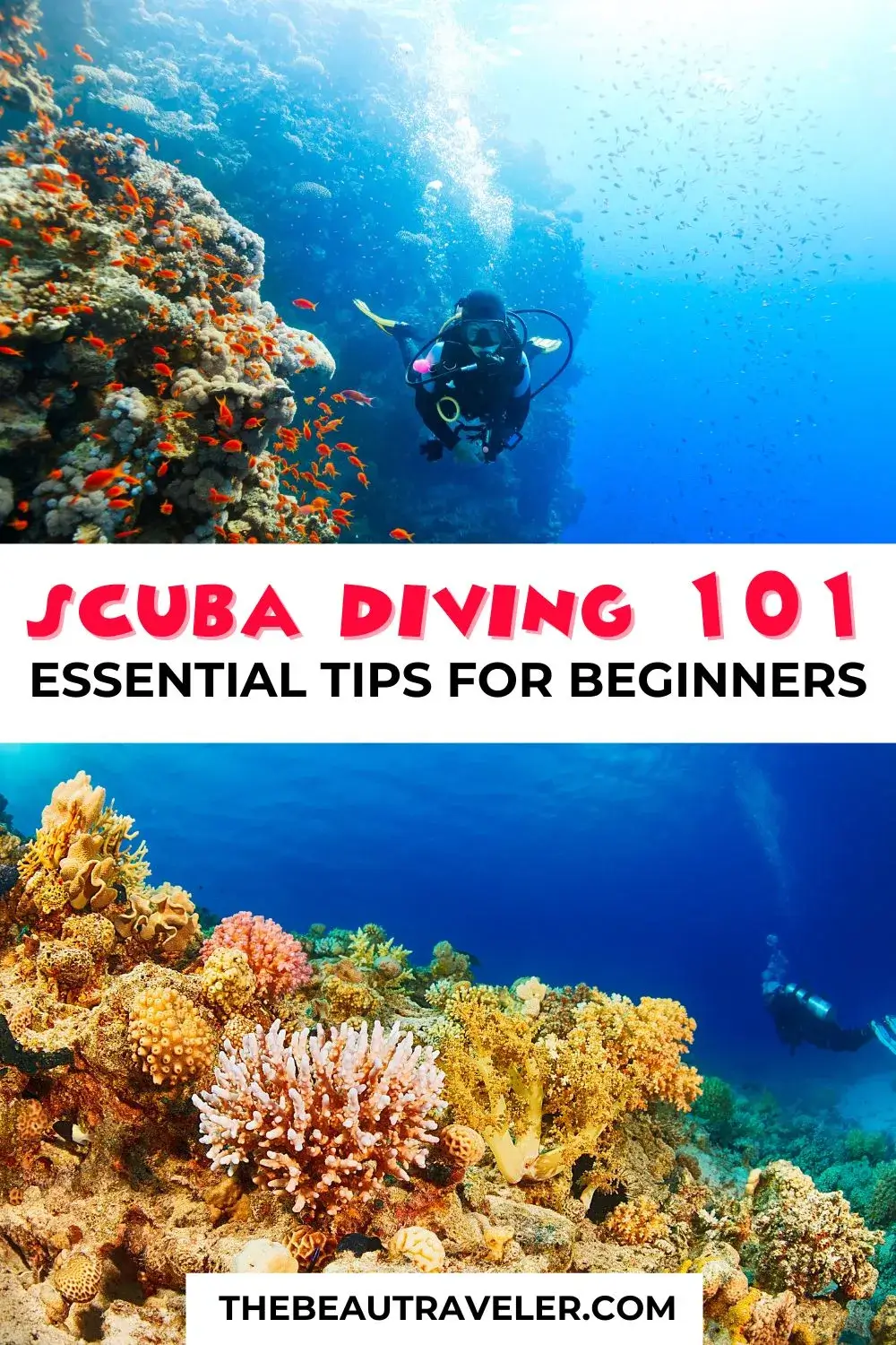 Scuba Diving 101: Essential Tips for Beginners - The BeauTraveler