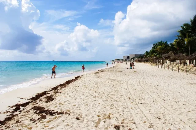 Playa del Carmen Highlights: 4 Iconic Spots You Can’t Miss