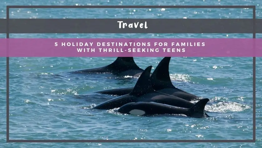 5 Holiday Destinations for Families with Thrill-Seeking Teens