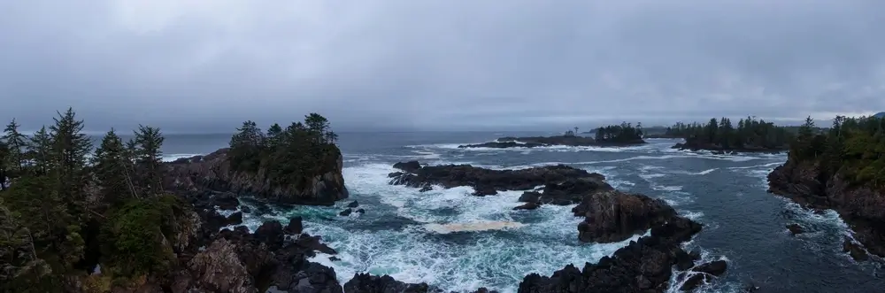 Vancouver Island Photography Tips: Top Settings for Misty, Moody Coastal Scenes