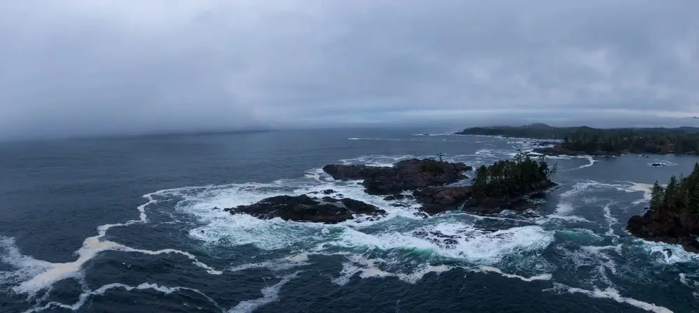 Vancouver Island Photography Tips: Top Settings for Misty, Moody Coastal Scenes