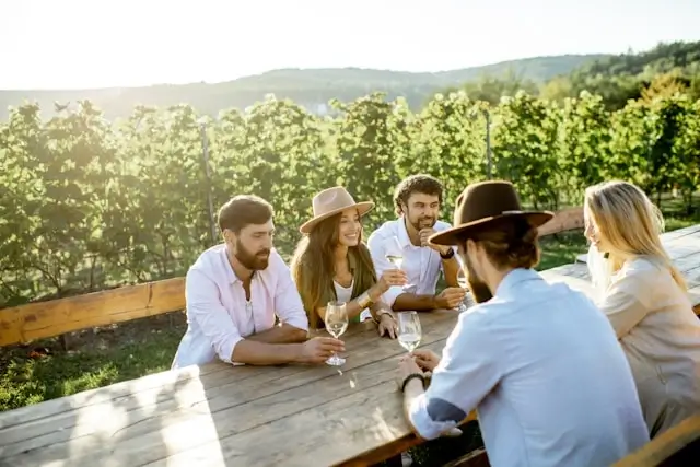 Wine Tasting and Tour 101: How to Make the Most of Your Journey