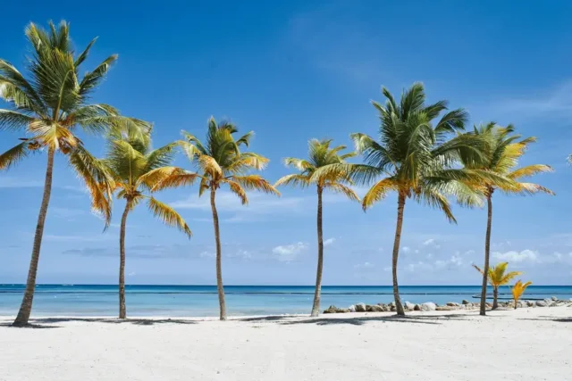 Exploring Punta Cana Beaches & Resorts: Adults-Only Getaways