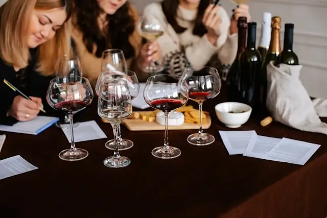 Wine Tasting and Tour 101: How to Make the Most of Your Journey