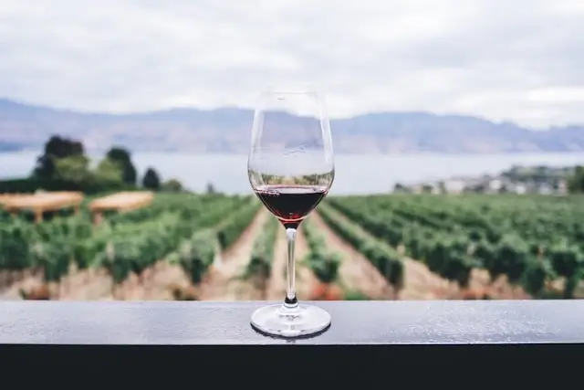 Wine Tasting and Tour 101: How to Make the Most of Your Journey