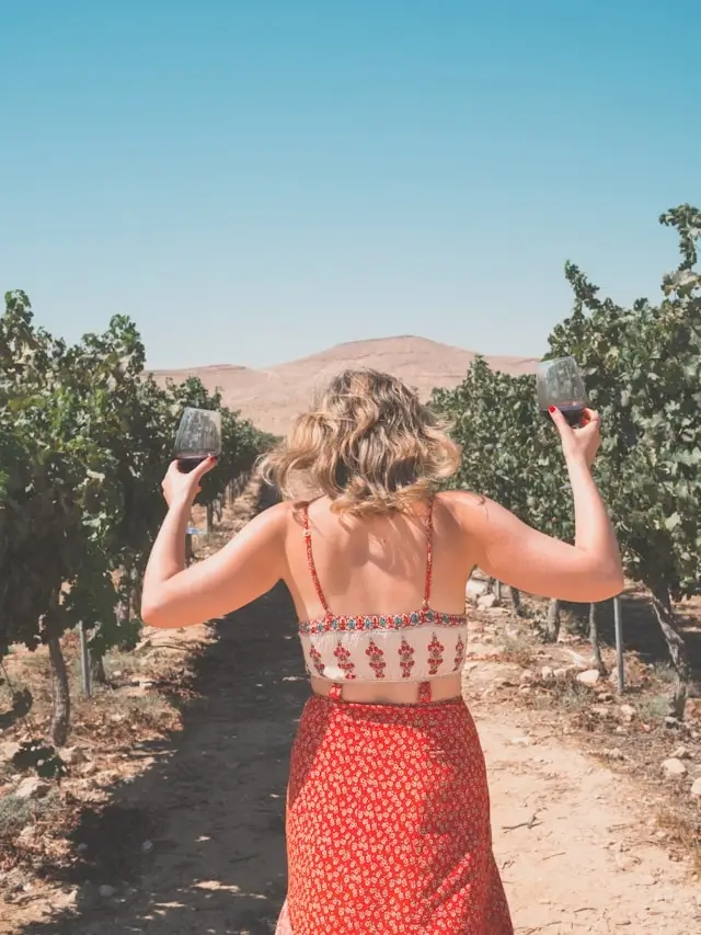 Wine Tasting and Tour 101: How to Make the Most of Your Journey