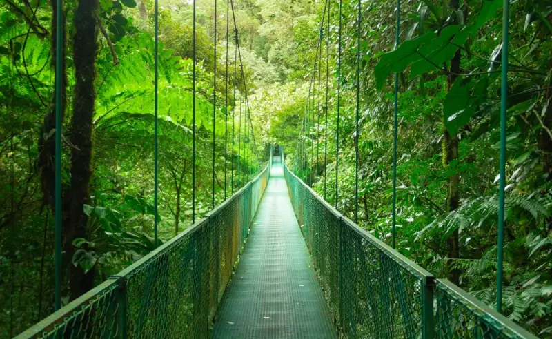 Visiting Monteverde Costa Rica? 10 Authentic Ways to Connect with Locals