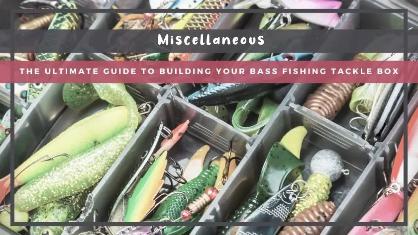 The Ultimate Guide to Building Your Bass Fishing Tackle Box