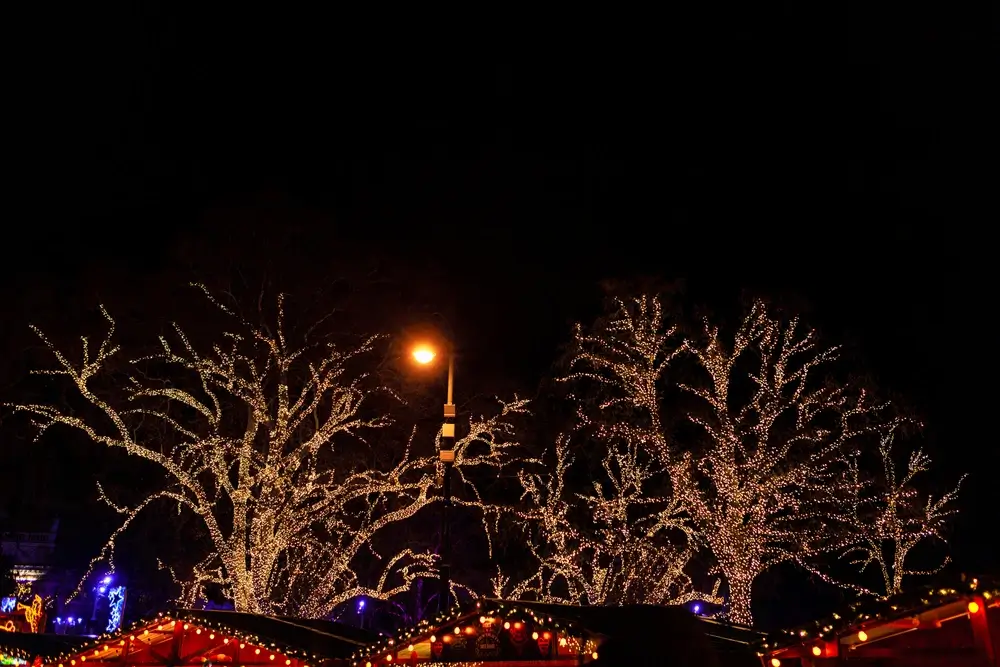 christmas decoration in memphis