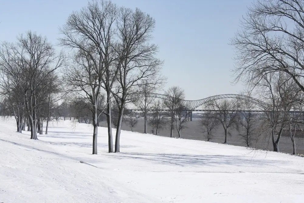 winter in memphis, tn