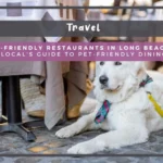 4 Dog-Friendly Restaurants in Long Beach, CA: Local's Guide to Pet-Friendly Dining